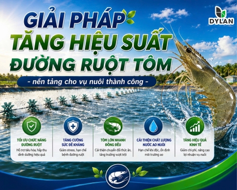 Giải Pháp Tăng Hiệu Suất Đường Ruột Tôm – Nền Tảng Cho Vụ Nuôi Thành Công