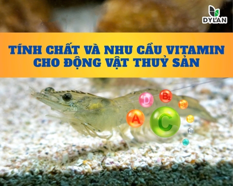 TÍNH CHẤT VÀ NHU CẦU VITAMIN CHO ĐỘNG VẬT THỦY SẢN