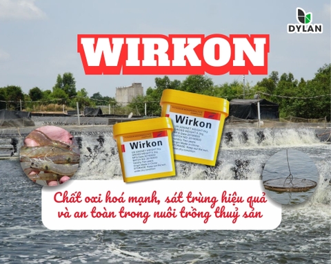 Wirkon (Potassium Peroxymonosulfate) – Chất Oxy Hóa Mạnh, Sát Trùng Hiệu Quả và An Toàn Trong Nuôi Thủy Sản