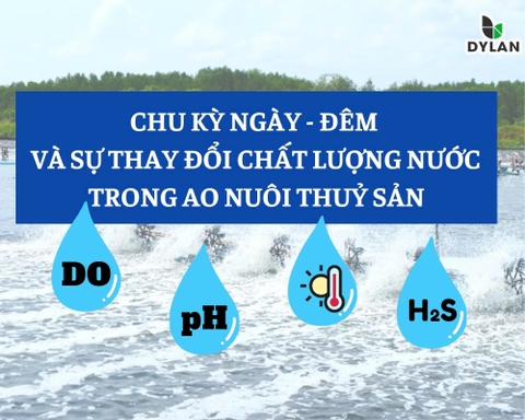 Chu kỳ ngày – đêm và sự thay đổi chất lượng nước trong ao nuôi