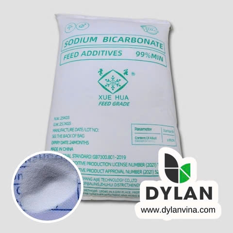Soda Lạnh - Sodium Bicarbonate Trung Quốc - NaHCO3 99%