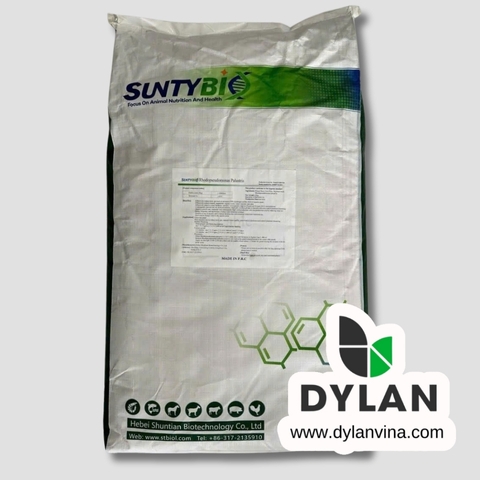 SNTYBIO Rhodopseudomonas palustris - Vi sinh xử lý đáy ao