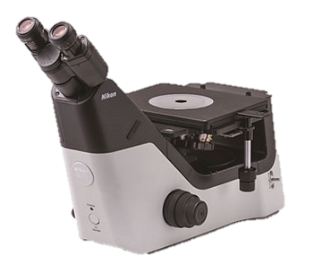 NIKON MA100N Kính Hiển Vi Thấu Kính Trên