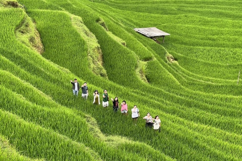 14 DAY VIETNAM PACKAGE TOUR: HANOI - DANANG - PHU QUOC