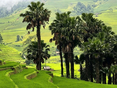 15 DAY FAR NORTH VIETNAM REAL MUITI ADVENTURE TOURS