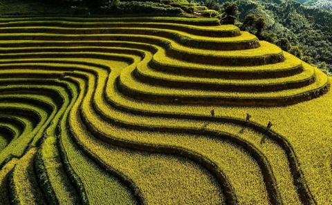 15 DAY BEST NORTH VIETNAM REAL PREMIER ADVENTURE TOURS HOLIDAY