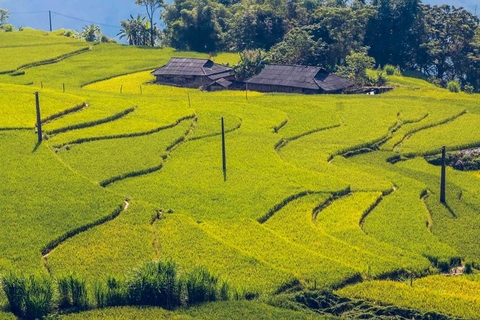 8 DAY MYSTERIOUS HOANG SU PHI HIKING LOOP