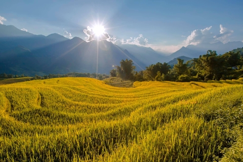 8 DAY SAPA - BAC HA WEEKEND MARKET BICYCLE TOURS