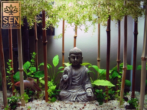 Vị Trí Đặt Và Thiết Kế Bể Cá Phong Thủy Đem Lại Tài Lộc