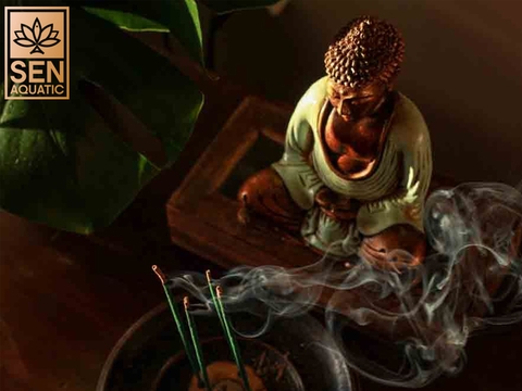 8 Tư Thế Tượng Phật Và 8 Điều Cấm Kỵ Trong Phong Thủy