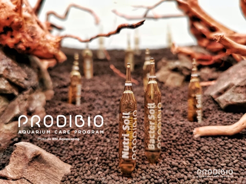 Thông cáo hợp tác phân phối: Sen Aquatic - PRODIBIO