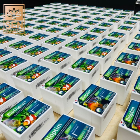 Authentic Check: Cách Phân Biệt Sản Phẩm PRODIBIO Chính Hãng Trên Thị Trường