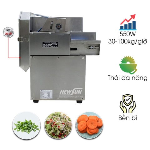 Máy thái hành lá sả YDQC-20 (dạng băng tải)