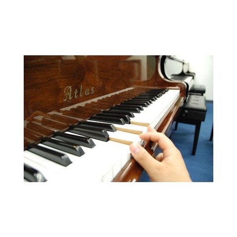 Baby Grand Piano Atlas AG500