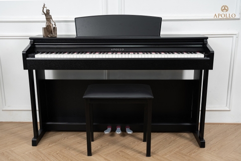 Piano Apollo DP-160 (Piano điện cho dự án)