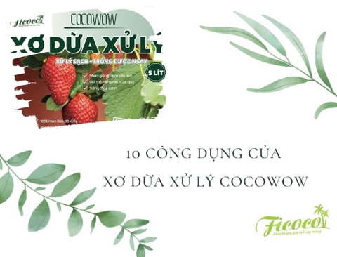 10 CÔNG DỤNG CỦA XƠ DỪA (MỤN DỪA) XỬ LÝ COCOWOW