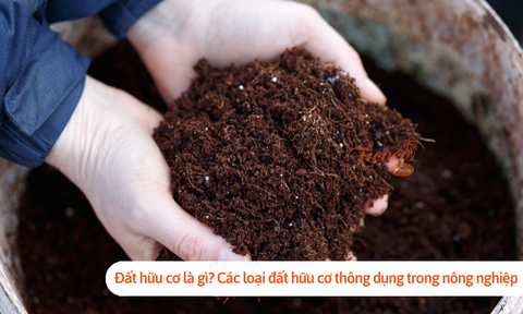 Đất hữu cơ là gì? Các loại đất hữu cơ thông dụng trong nông nghiệp