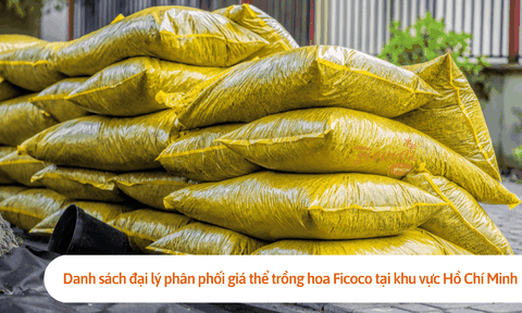 Danh sách đại lý phân phối giá thể trồng hoa Ficoco tại khu vực Hồ Chí Minh