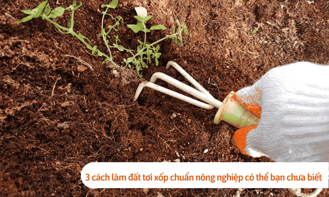 3 cách làm đất tơi xốp chuẩn nông nghiệp có thể bạn chưa biết