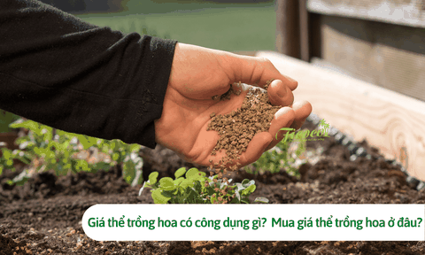 Giá thể trồng hoa có công dụng gì? Mua giá thể trồng hoa ở đâu?
