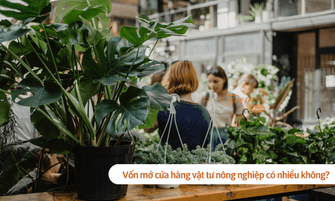 Vốn mở cửa hàng vật tư nông nghiệp có nhiều không?