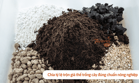Chia tỷ lệ trộn giá thể trồng cây đúng chuẩn nông nghiệp