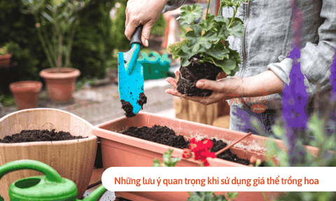 Những lưu ý quan trọng khi sử dụng giá thể trồng hoa