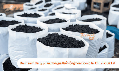 Danh sách đại lý phân phối giá thể trồng hoa Ficoco tại khu vực Đà Lạt