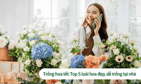 Trồng hoa tết: Top 5 loài hoa đẹp, dễ trồng tại nhà dịp tết 2023