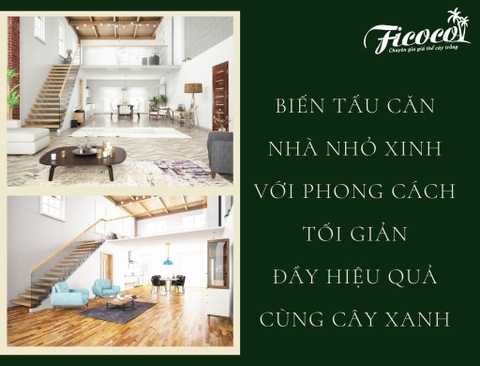 BIẾN TẤU CĂN NHÀ NHỎ XINH VỚI PHONG CÁCH TỐI GIẢN CÙNG CÂY XANH