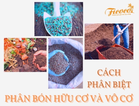 CÁCH PHÂN BIỆT PHÂN BÓN HỮU CƠ VÀ VÔ CƠ DỄ DÀNG