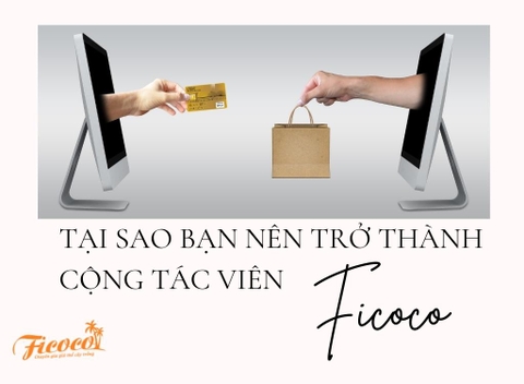 TẠI SAO BẠN NÊN TRỞ THÀNH CỘNG TÁC VIÊN CỦA FICOCO?