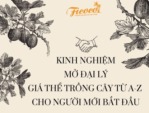 KINH NGHIỆM MỞ ĐẠI LÝ GIÁ THỂ TRỒNG CÂY TỪ A-Z CHO NHỮNG NGƯỜI MỚI BẮT ĐẦU