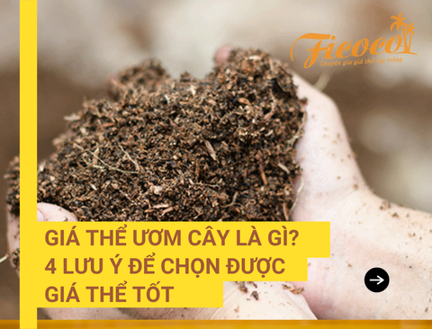 GIÁ THỂ ƯƠM CÂY LÀ GÌ? 4 LƯU Ý ĐỂ CHỌN GIÁ THỂ TỐT CHO MÙA VỤ THÀNH CÔNG