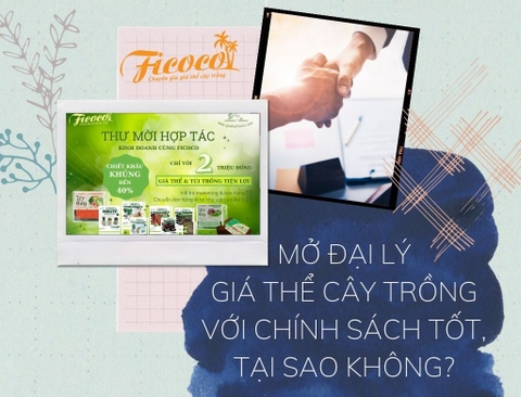 MỞ ĐẠI LÝ GIÁ THỂ CÂY TRỒNG VỚI CHÍNH SÁCH TỐT, TẠI SAO KHÔNG?