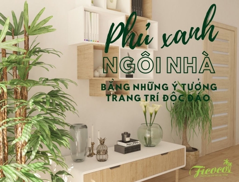 PHỦ XANH NGÔI NHÀ BẰNG NHỮNG Ý TƯỞNG SIÊU ĐỘC ĐÁO VỚI FICOCO