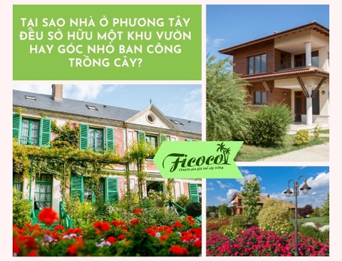 TẠI SAO NHÀ Ở PHƯƠNG TÂY ĐỀU SỞ HỮU MỘT KHU VƯỜN HAY GÓC NHỎ BAN CÔNG TRỒNG CÂY?