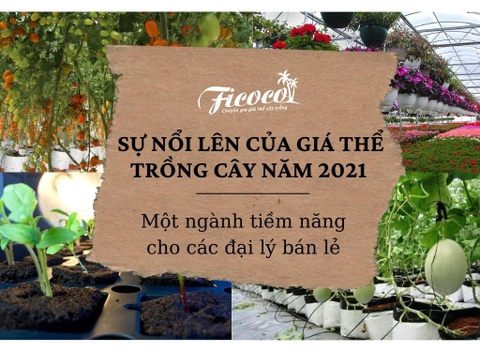 SỰ NỔI LÊN CỦA GIÁ THỂ TRỒNG CÂY NĂM 2022 – MỘT NGÀNH TIỀM NĂNG CHO CÁC ĐẠI LÝ BÁN LẺ