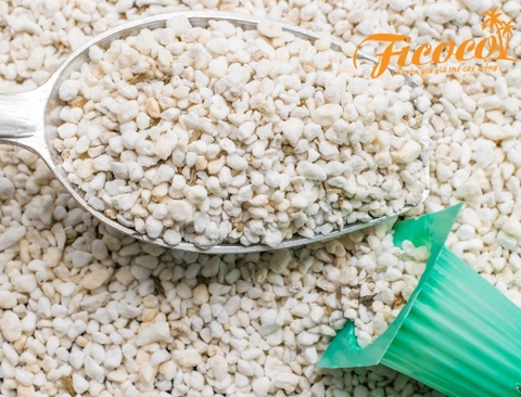 VAI TRÒ VÀ ỨNG DỤNG CỦA ĐÁ PERLITE TRONG TRỒNG TRỌT