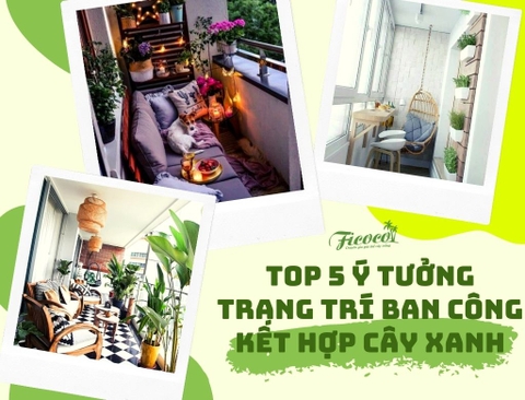 TOP 5 Ý TƯỞNG TRANG TRÍ BAN CÔNG KẾT HỢP CÂY XANH VÀ HOA TREO