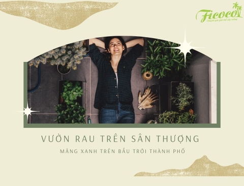 VƯỜN RAU TRÊN SÂN THƯỢNG – MẢNG XANH TRÊN BẦU TRỜI THÀNH PHỐ