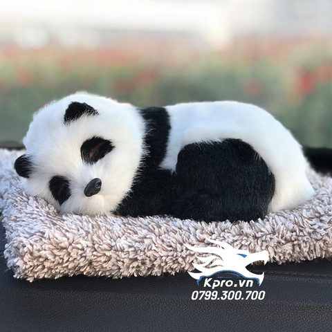 Than Tre Gấu Trúc (18cm X 26cm)