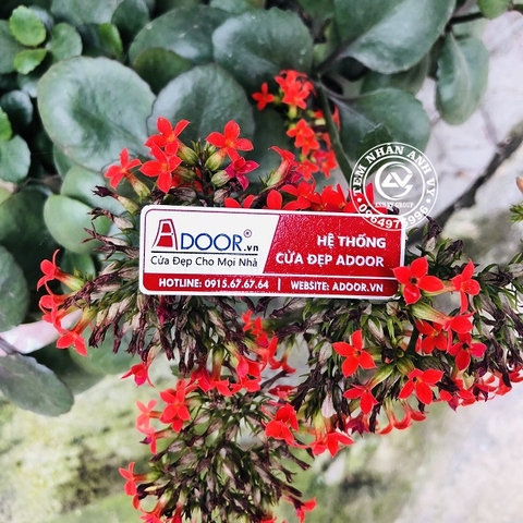 Tem nhận diện thương hiệu