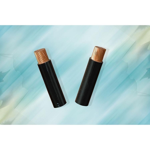 Cáp đồng đơn bọc PVC - CV