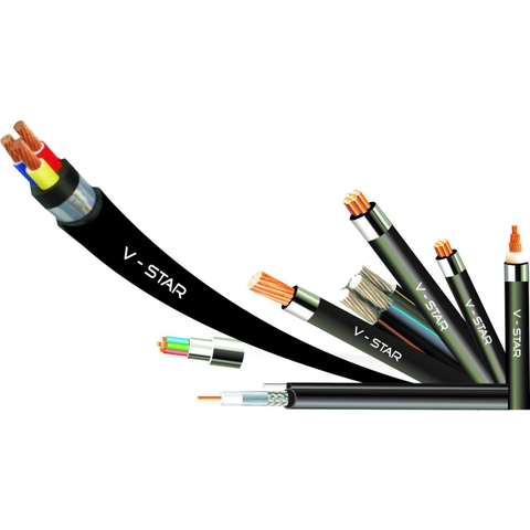 Cáp điện kế Muyle 2x