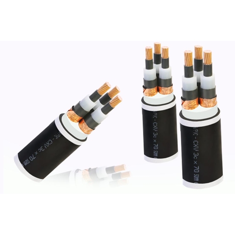Cáp ngầm 3 lõi DSTA 3x