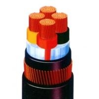 Cáp ngầm 4 lõi DSTA 4x