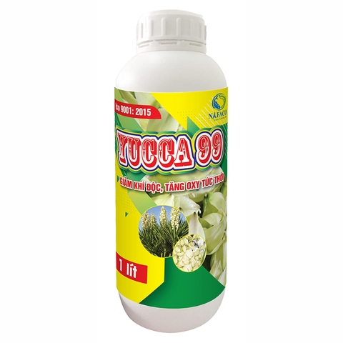 Yucca 99