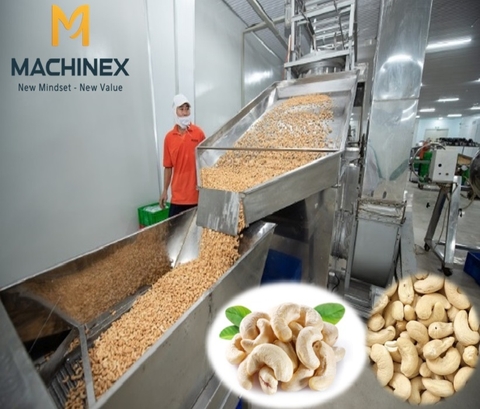Dây chuyền sản xuất sấy, tẩm ướp hạt điều