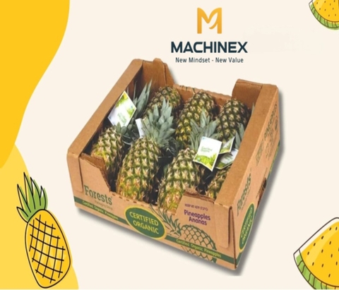 Tiêu chuẩn xuất khẩu dứa/ trái thơm sang thị trường Châu Âu mới nhất